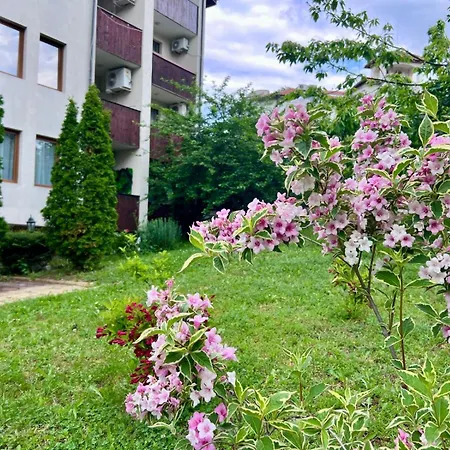 Апартамент Olive Luxury Few Steps Away From The Sandy Свети Влас